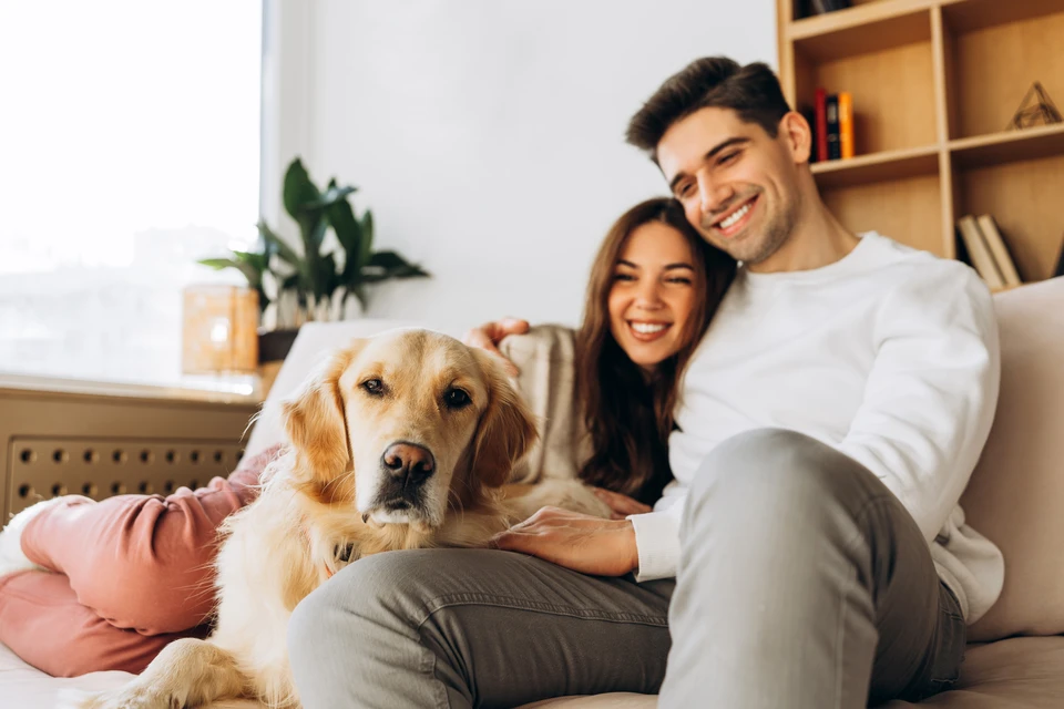 Un électricien en blouse bleue et casque de sécurité rouge mesure des tensions dans un tableau électrique résidentiel